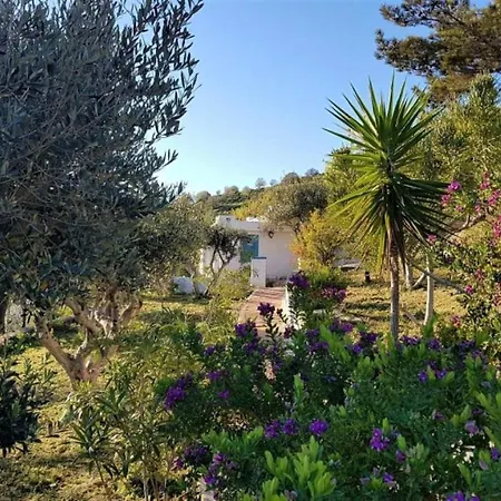 Appartamento Castle Vigla Studio Leros Vromolithos
